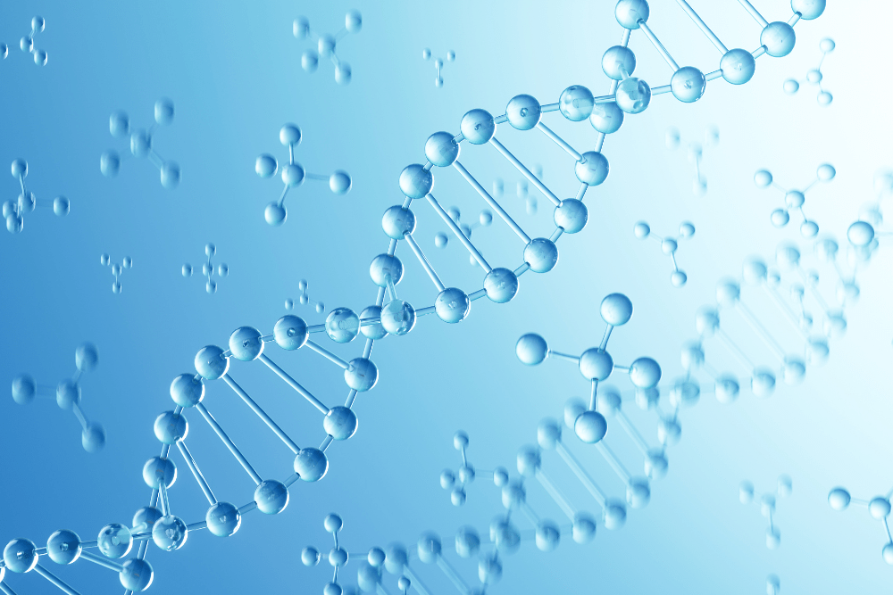 業界インサイト