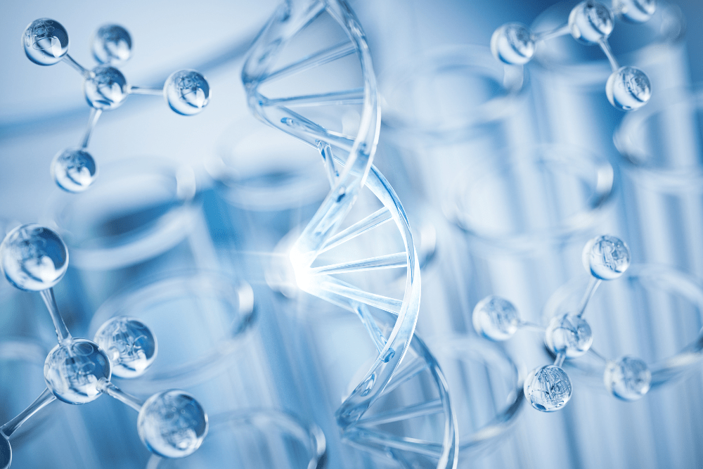 引用文献・出版物